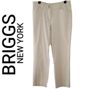 BRIGGS PETITE PANTS 